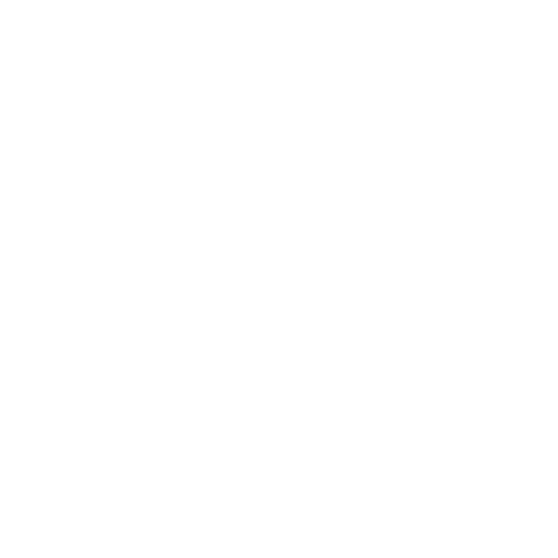 Steam